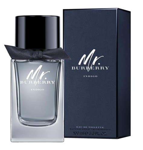 burberry indigo cologne review|mr Burberry indigo fragrantica.